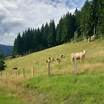 Alm-chalet In Der Naehe Vom Klippitztoerl * Sankt Johann am Pressen
