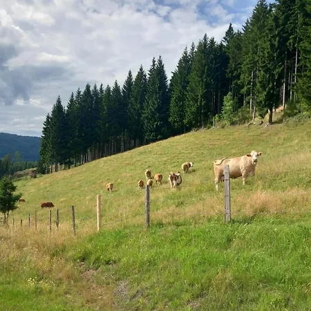 Alm-chalet In Der Naehe Vom Klippitztoerl * Sankt Johann am Pressen