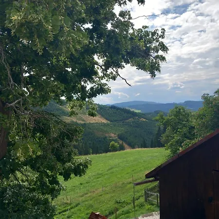 公寓 Alm-chalet In Der Naehe Vom Klippitztoerl Sankt Johann am Pressen
