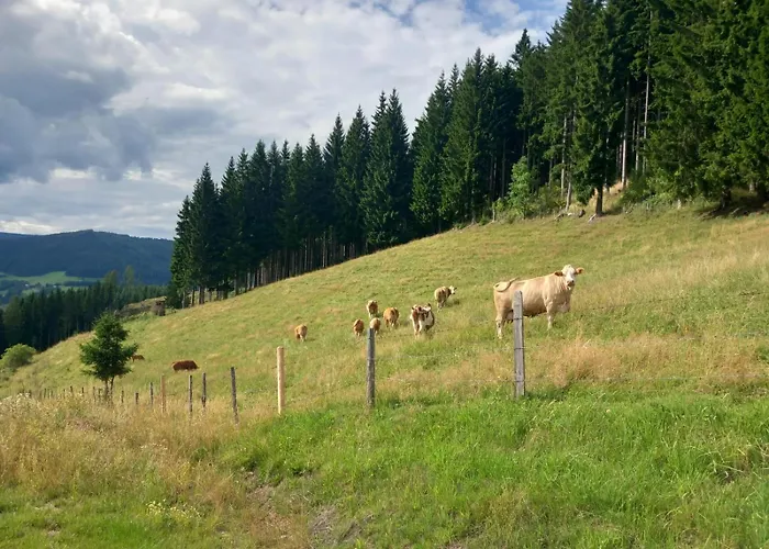 Alm-chalet In Der Naehe Vom Klippitztoerl * Sankt Johann am Pressen